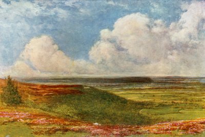 Blackdown Common von Francis S. Walker